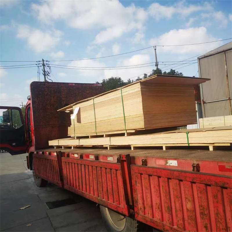 钦南区桥西区物流专线的多元运输世界